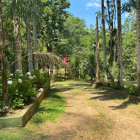 Chale Em Meio A Natureza! Guabiruba Экстерьер фото