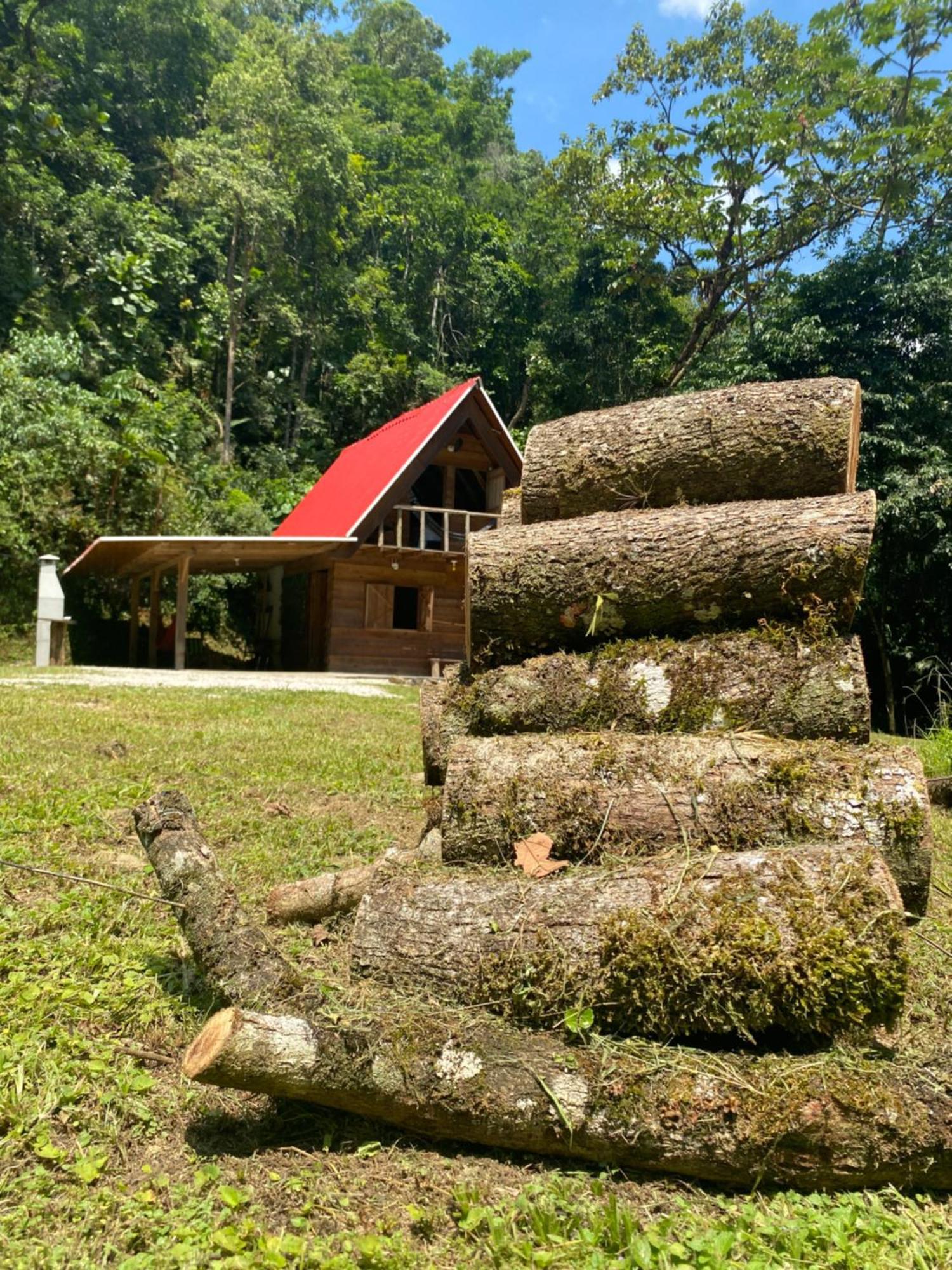 Chale Em Meio A Natureza! Guabiruba Экстерьер фото